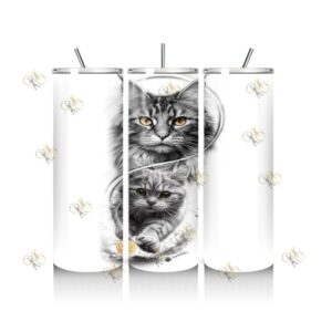 CAT006 Cats 6